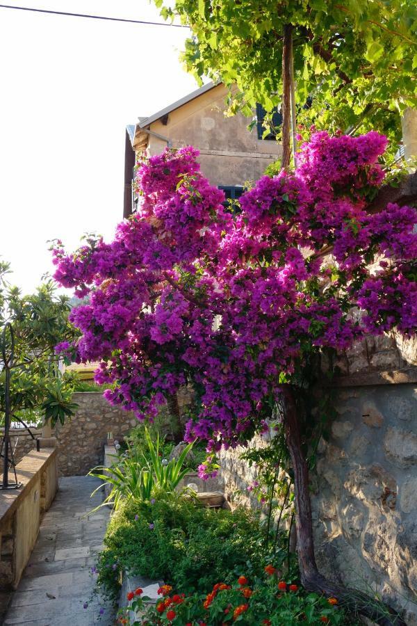 Villa Matilda Dubrovnik Exterior foto